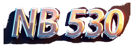 nb 530 logo